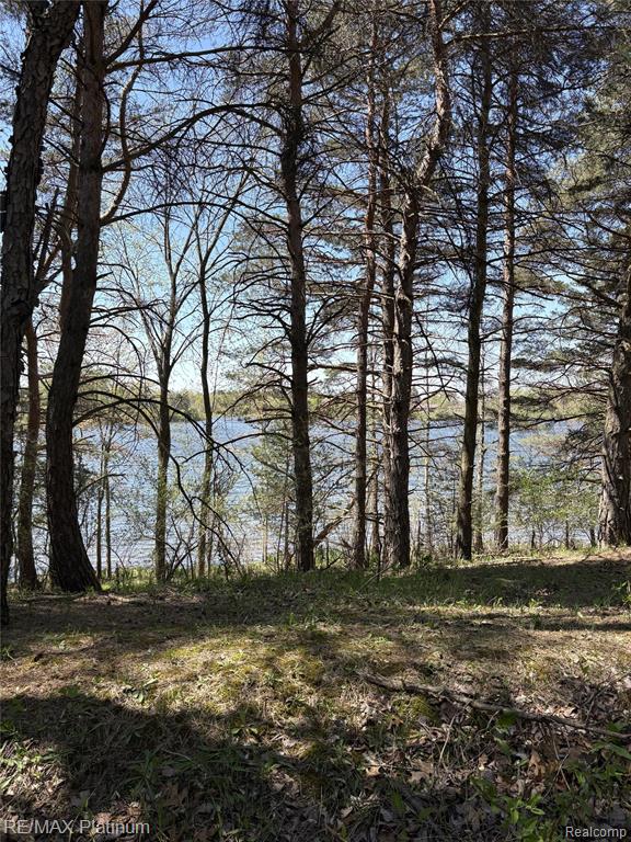Parcel 3 Pineway Trail Howell, MI 48855 - Photo 10 of 15