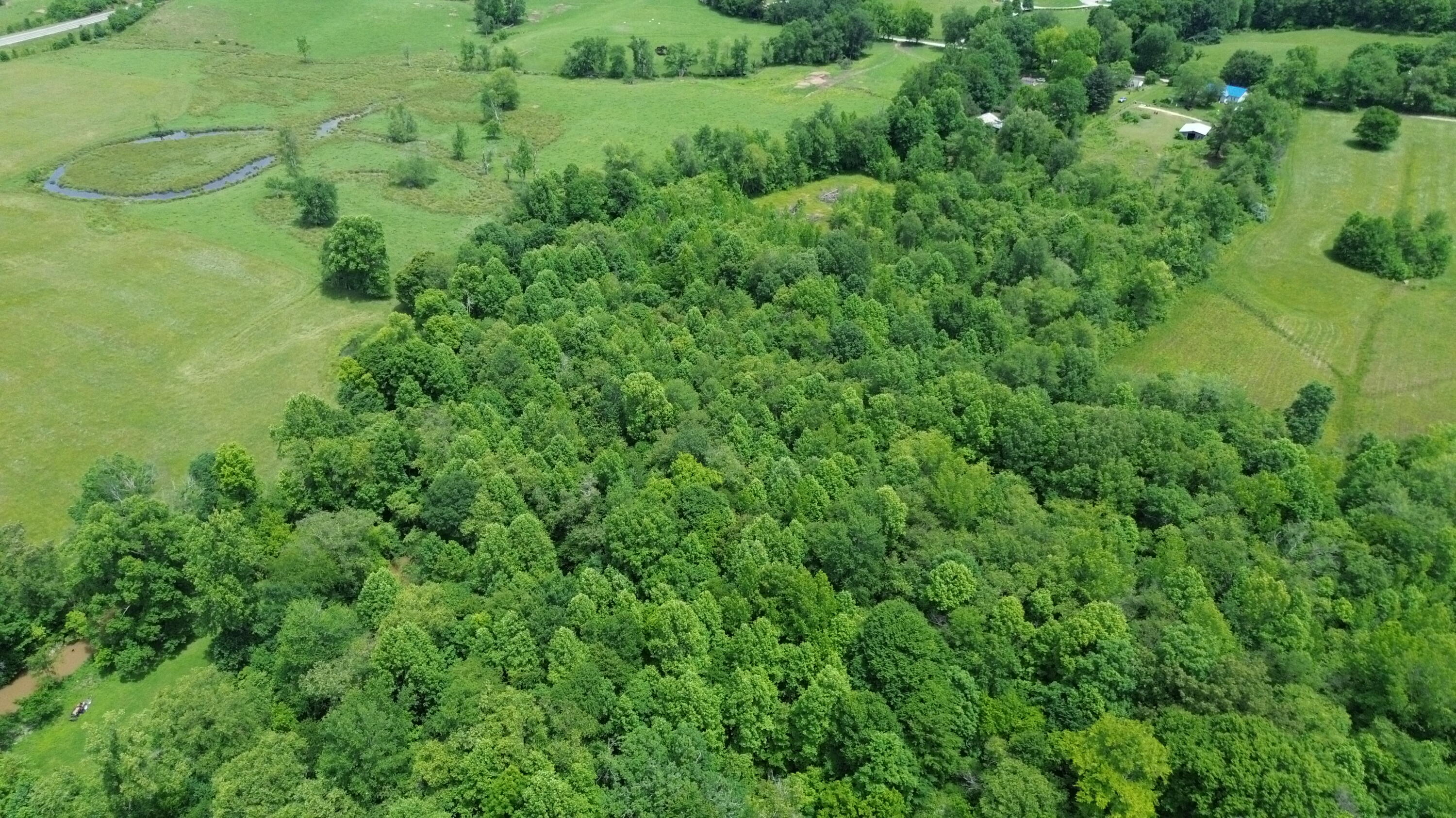 1433 Tower Road Corbin, KY 40701 - Photo 3 of 10 DJI_0116