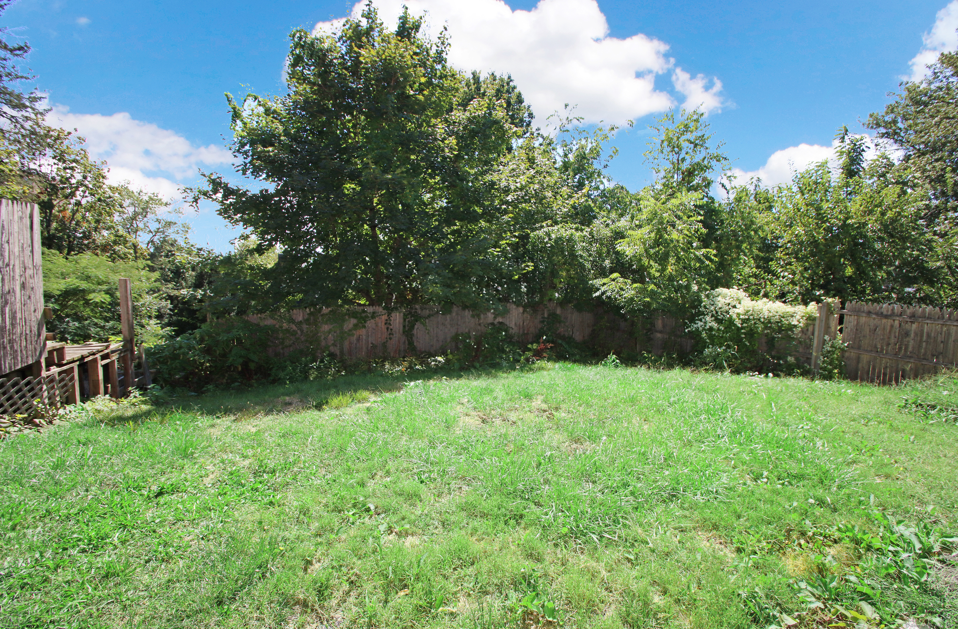 181 Buckingham Street Waterbury, CT 06710 - Photo 39 of 40 a view of backyard with green space