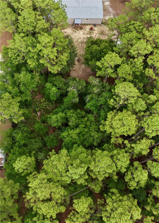2482 South Wakulla Point Homosassa, FL 34448 - Photo 31 of 36