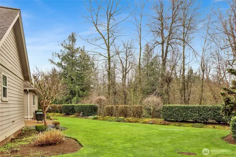 a view of a backyard with large trees