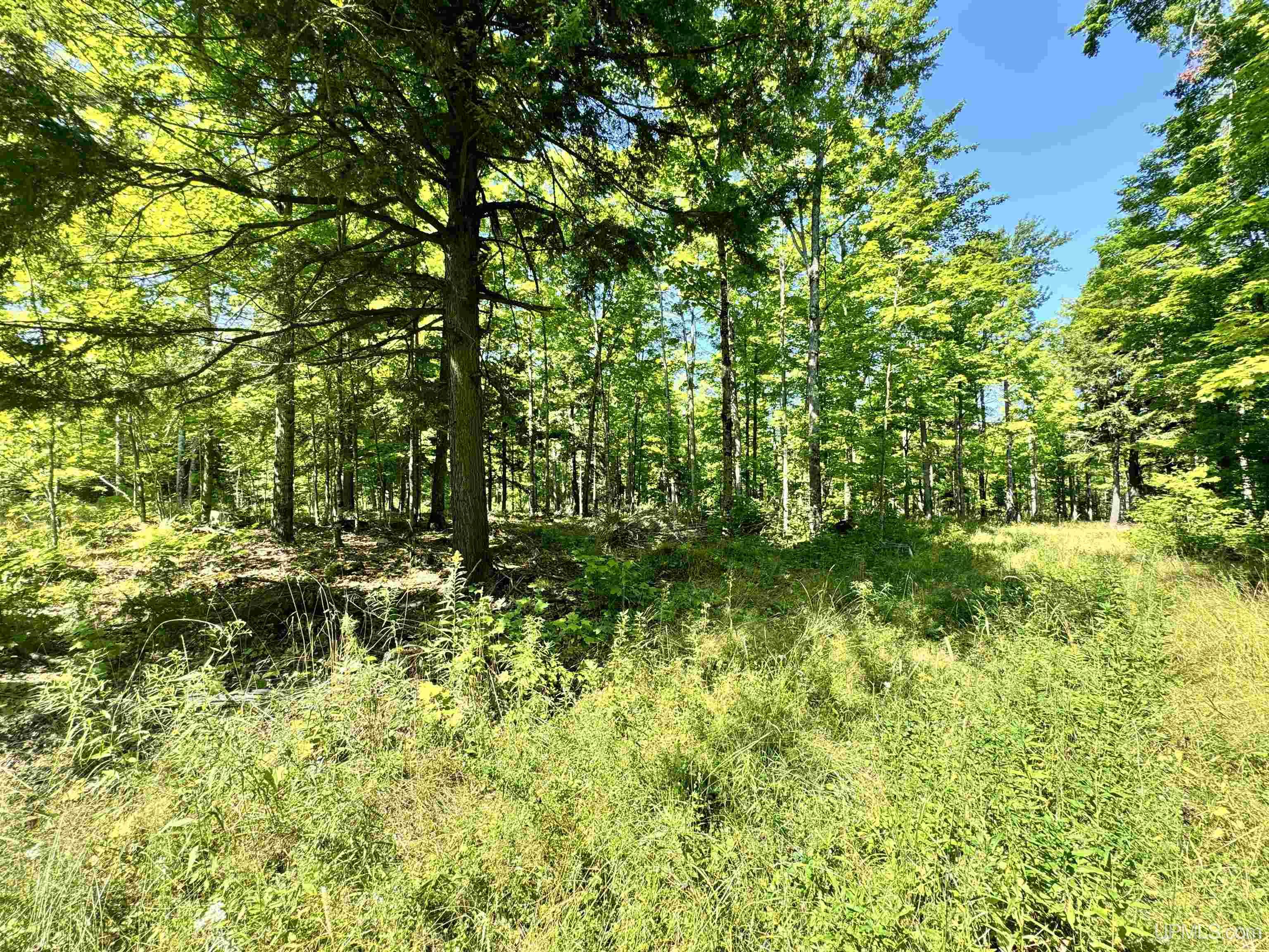 23867 Huron Road Skanee, MI 49962 - Photo 18 of 33 Gallery Image 18