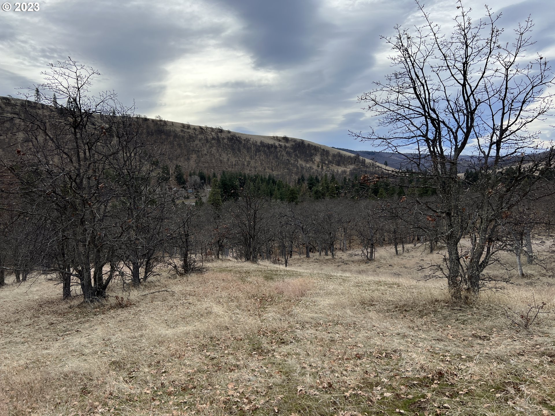 Browns Creek Road The Dalles, OR 97058 - Photo 27 of 30 Gallery Image 27