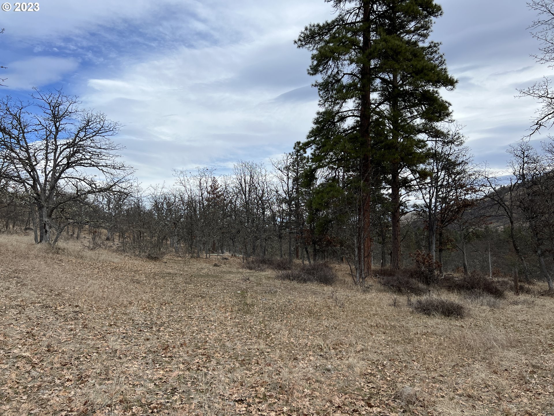 Browns Creek Road The Dalles, OR 97058 - Photo 29 of 30 Gallery Image 29