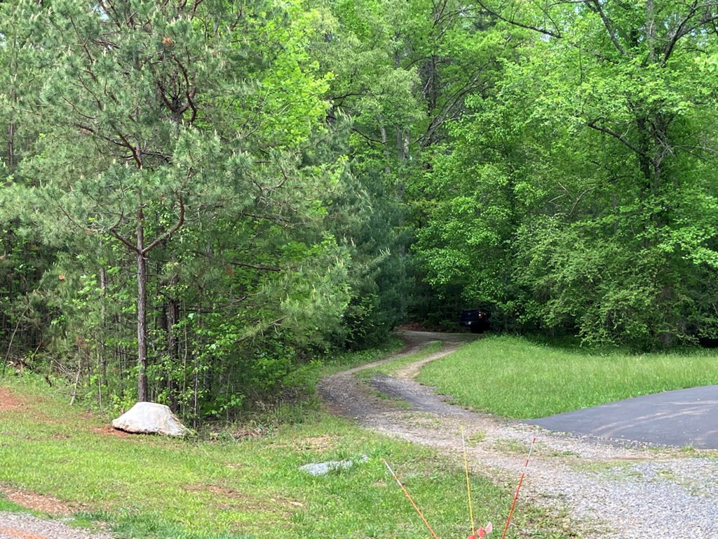 67 Brandys Way Murphy, NC 28906 - Photo 2 of 14