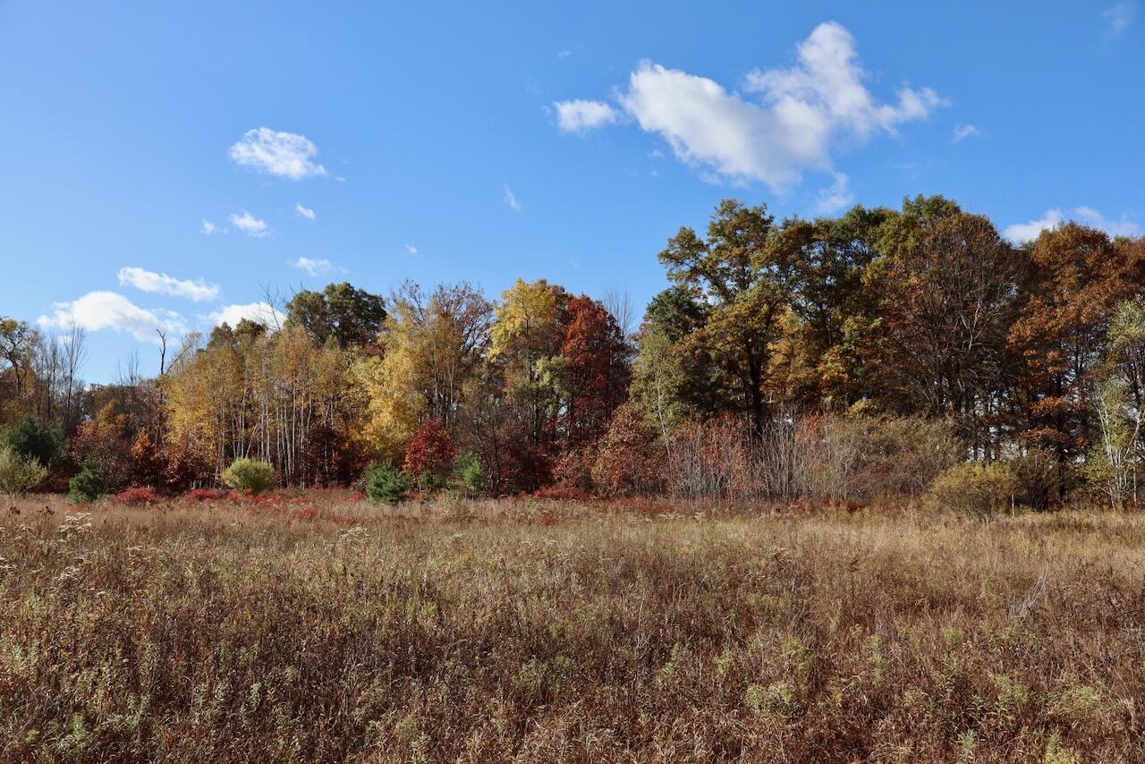 West Beamish Road Sanford, MI 48657 - Photo 20 of 27
