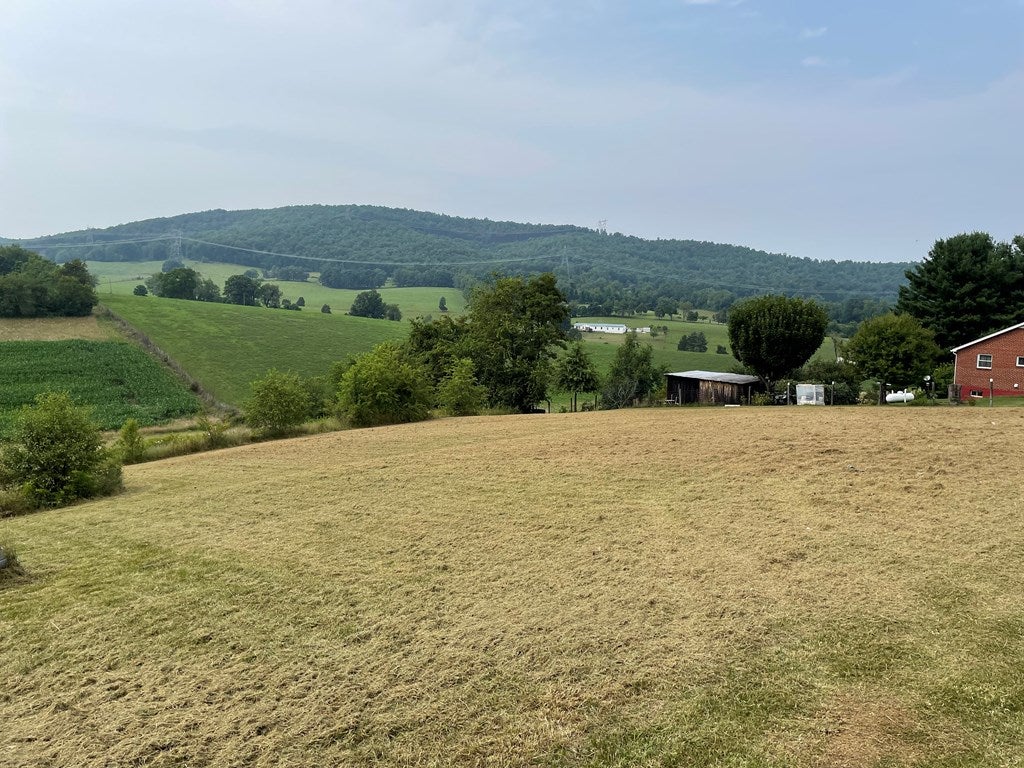 Tbd Tbd Castleton Road Barren Springs, VA 24313 - Photo 5 of 6 Gallery Image 5