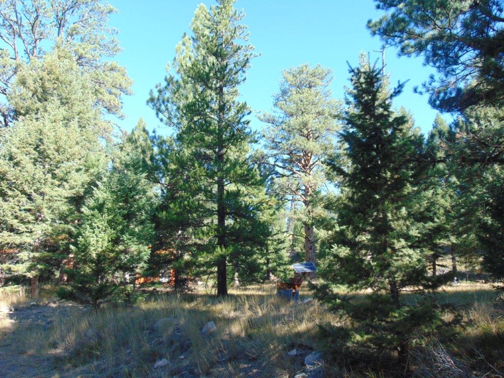 8872 Elk Trail Loop Lincoln, MT 59639 - Photo 78 of 99 Gallery Image 78