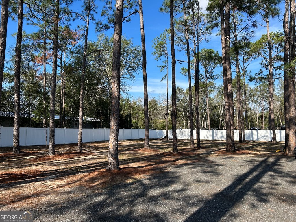 158 Shepards Bridge Road Reidsville, GA 30453 - Photo 8 of 8