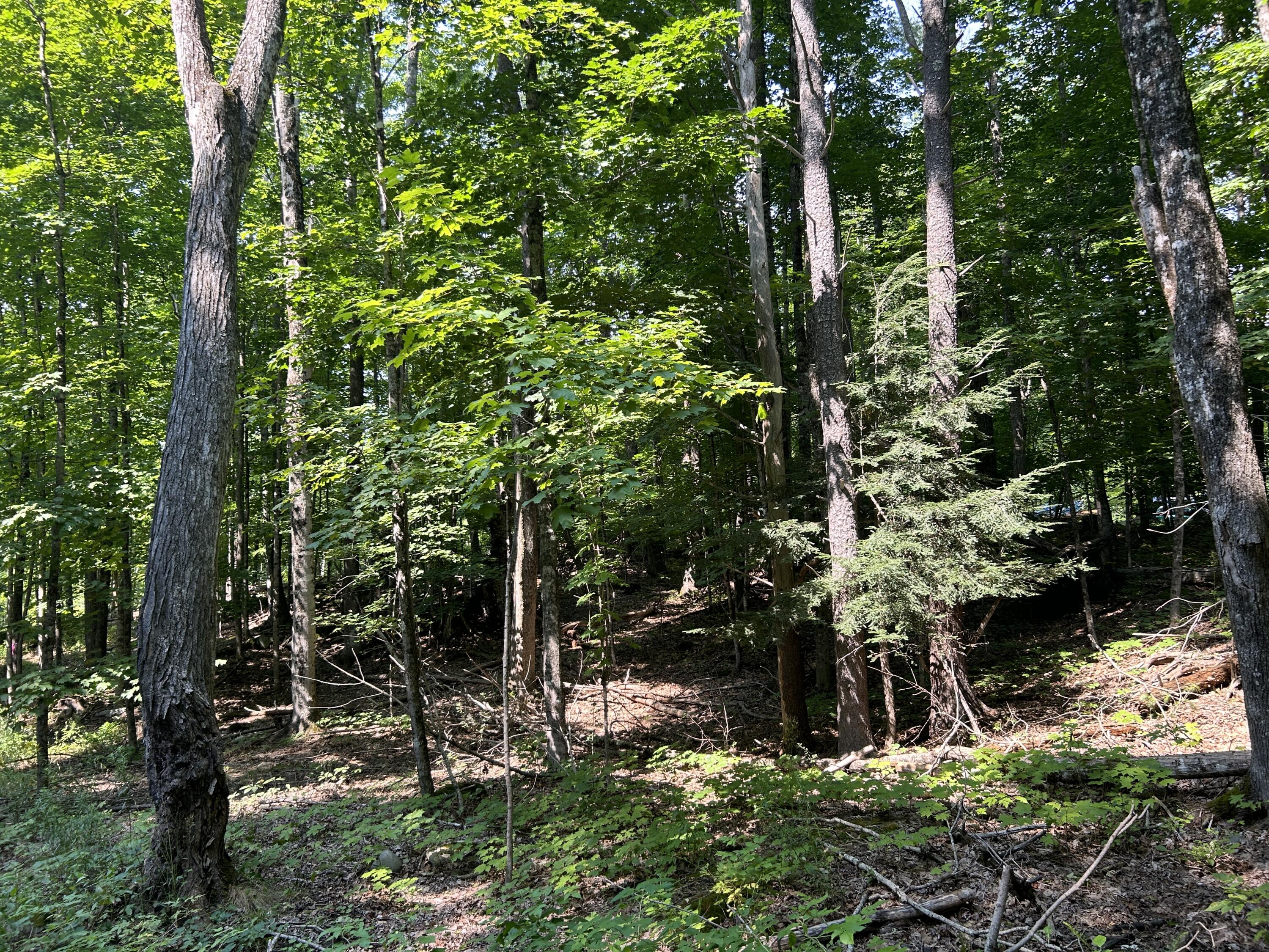 0 Back Troy Road Unity, ME 04988 - Photo 4 of 9 6DE407F1-EBA7-4182-AF1E-781BFFEF8684