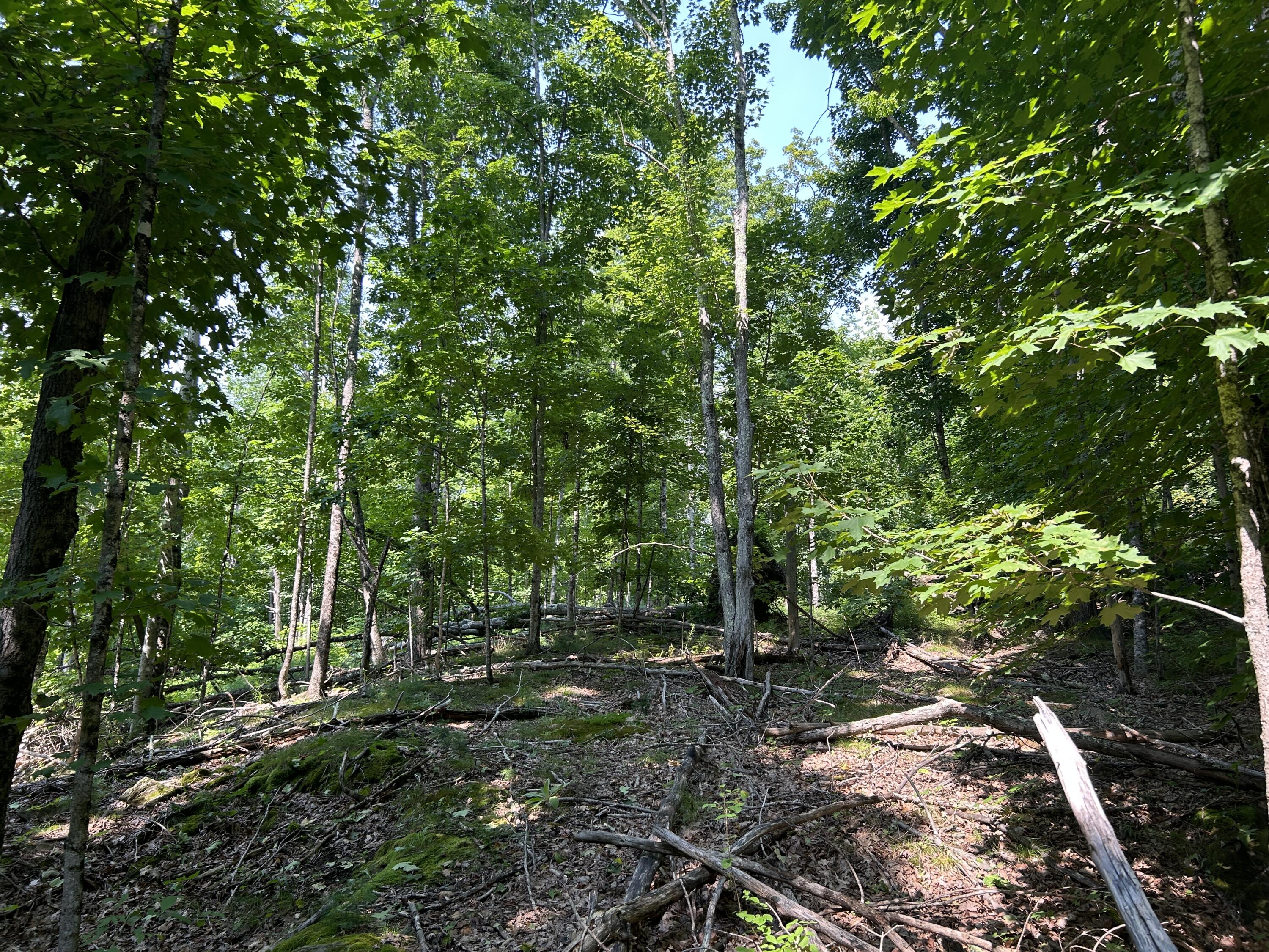 0 Back Troy Road Unity, ME 04988 - Photo 6 of 9 48262DA2-2B9A-4486-BA02-1F2CC4A063F5