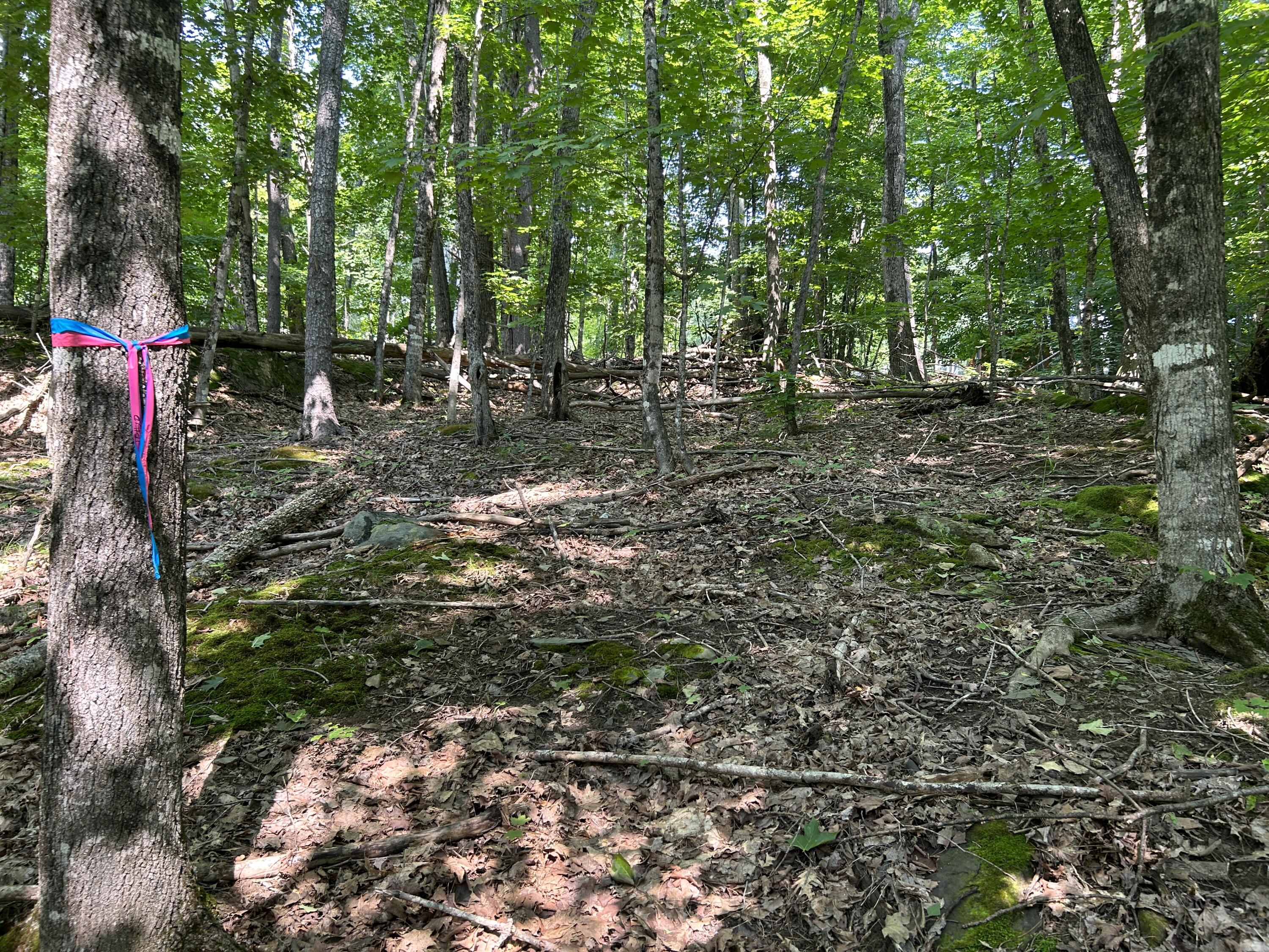 0 Back Troy Road Unity, ME 04988 - Photo 7 of 9 EE38BB53-96C9-4A01-B3CB-6C41042341A9