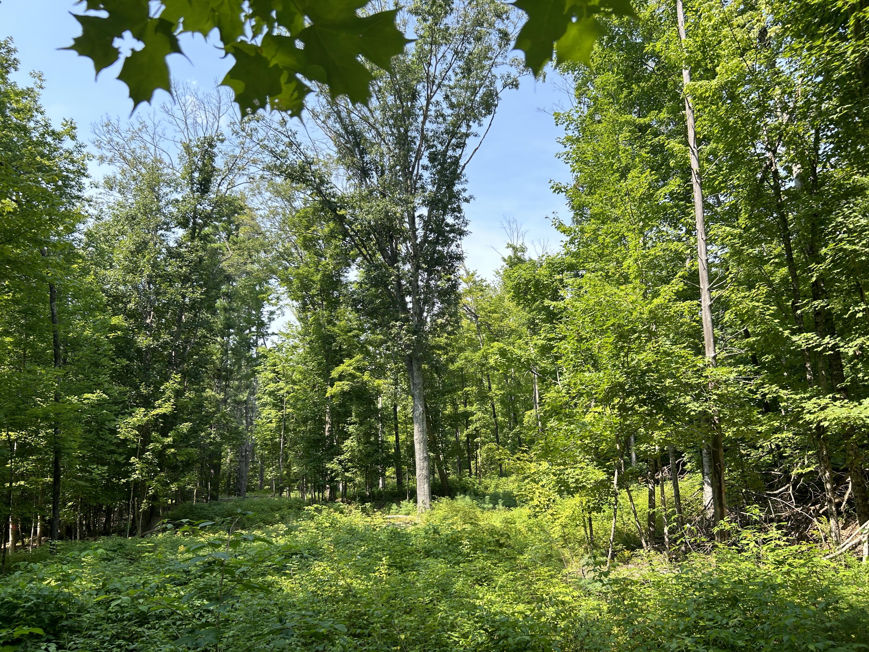 0 Back Troy Road Unity, ME 04988 - Photo 8 of 9 F523CB93-205D-428C-A8E3-5A3C751E6783