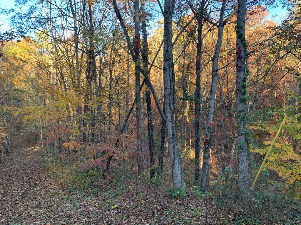 910 Patty View Way Sevierville, TN 37862 - Photo 8 of 10