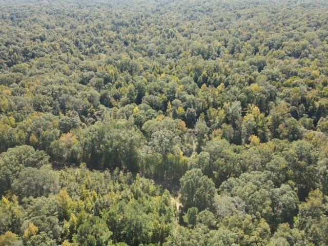 0 Rodney Road Port Gibson, MS 39150 - Photo 14 of 22 Photo 14