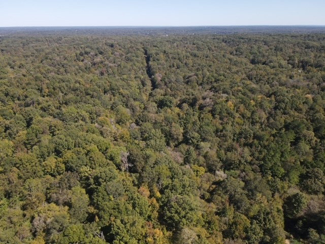 0 Rodney Road Port Gibson, MS 39150 - Photo 17 of 22 Photo 17