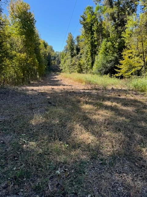 0 Rodney Road Port Gibson, MS 39150 - Photo 3 of 22 Photo 3