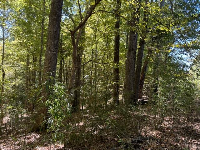 0 Rodney Road Port Gibson, MS 39150 - Photo 6 of 22 Photo 6