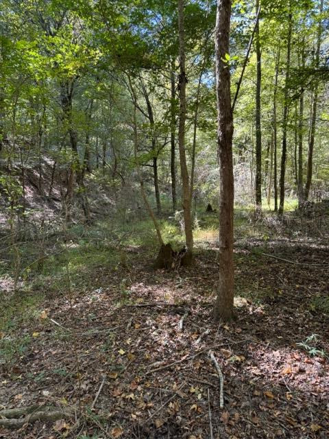 0 Rodney Road Port Gibson, MS 39150 - Photo 8 of 22 Photo 8