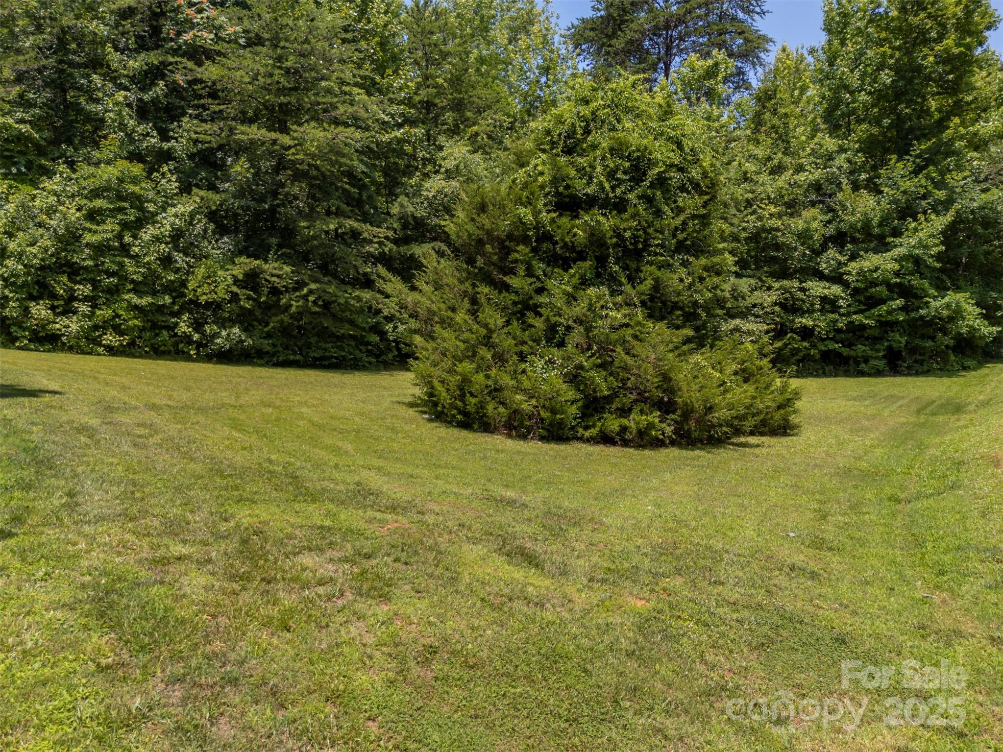 107 Grandview Drive Rutherfordton, NC 28139 - Photo 32 of 37 a view of a field with an trees in the background