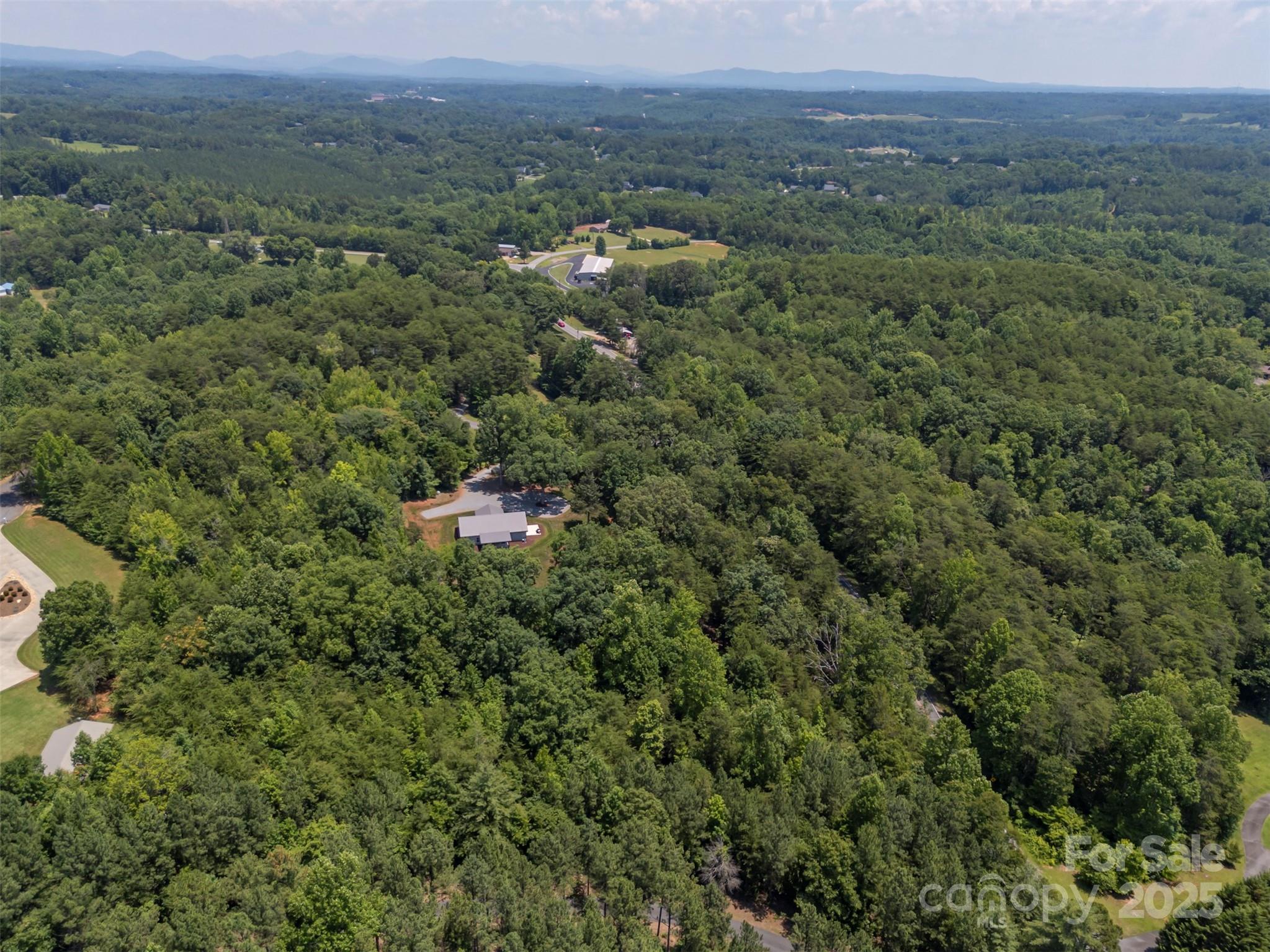 107 Grandview Drive Rutherfordton, NC 28139 - Photo 35 of 37 a view of a lush green forest with trees and houses