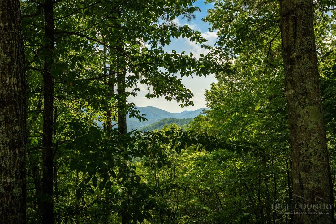 1303 Reynolds Parkway Boone, NC 28607 - Photo 10 of 50 Gallery Image 10