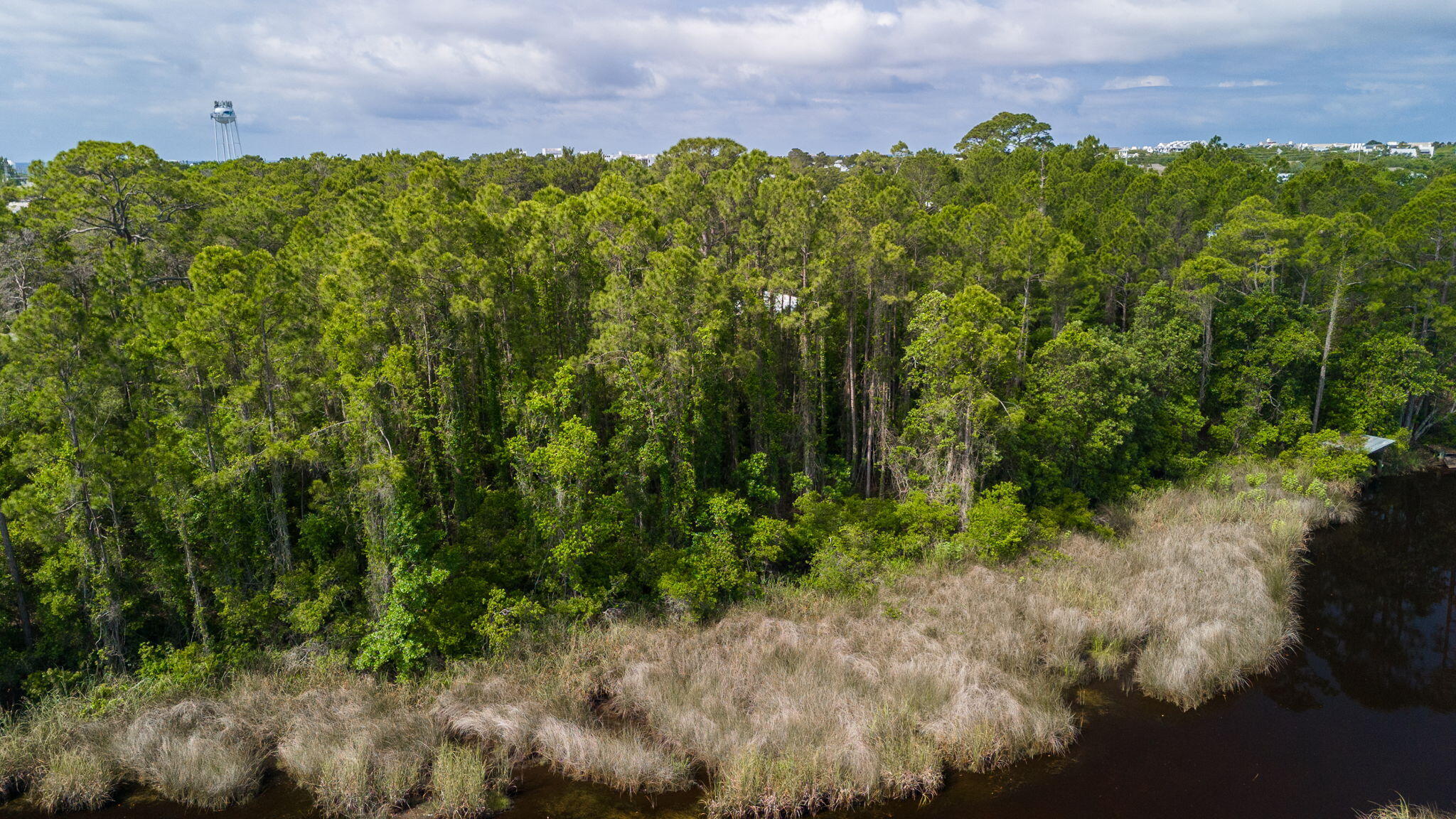 Tbd North Tbd N Wall St Inlet Beach Inlet Beach, FL 32461 - Photo 5 of 13 a view of a yard with plants and large trees