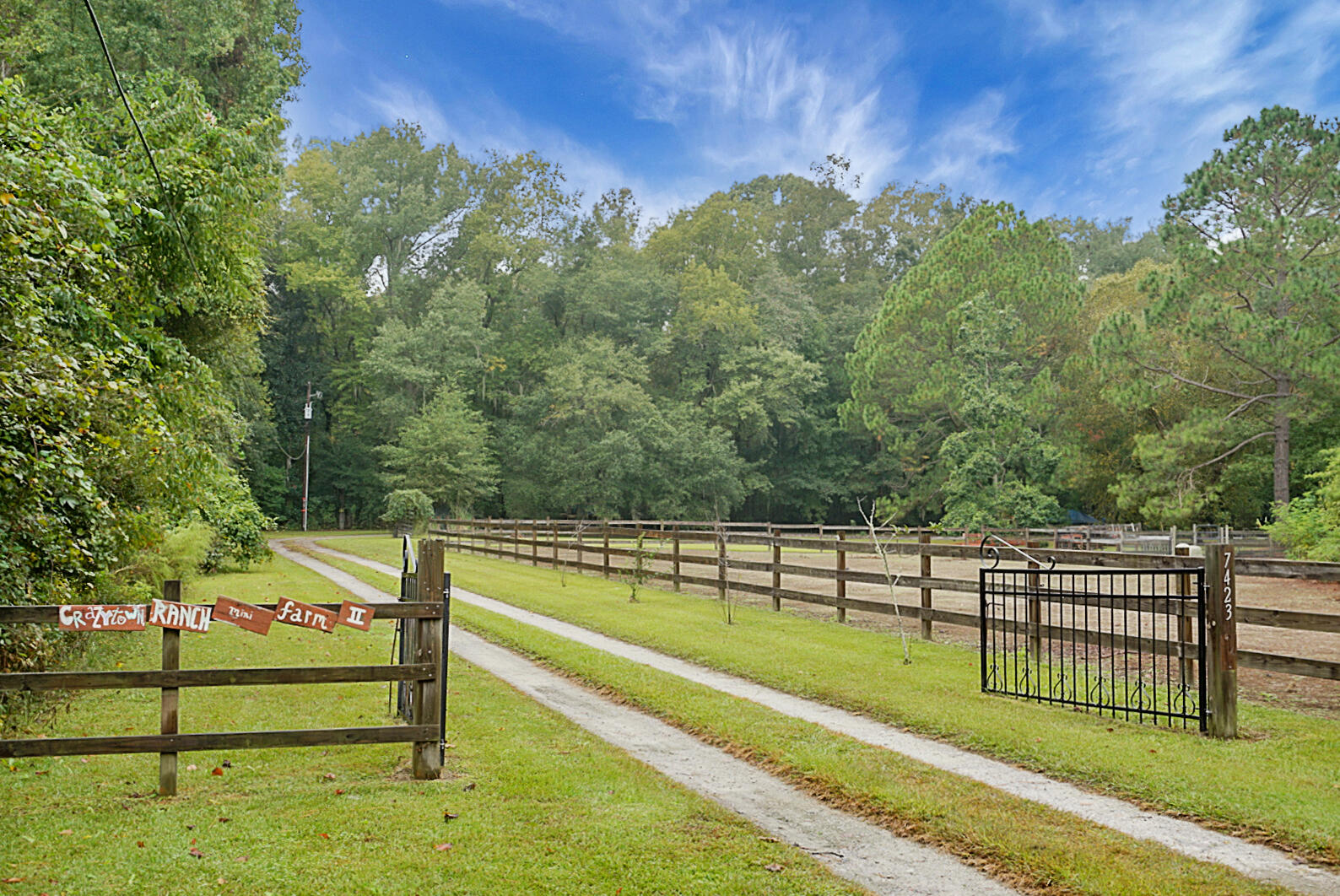 7423 Parish Point Road Meggett, SC 29449 - Photo 1 of 62 DSC0093