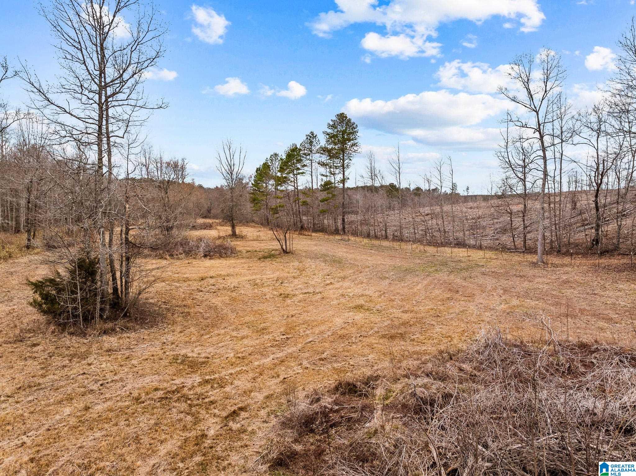 2885 McKay Road Delta, AL 36258 - Photo 47 of 56