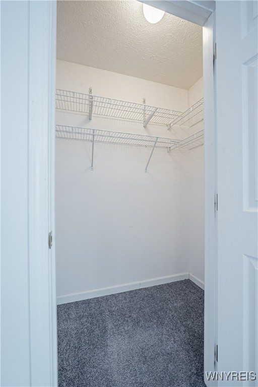 3813 Ransomville Road Porter, NY 14131 - Photo 20 of 47