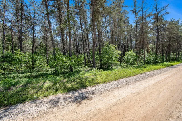 $19,900 | V/l(2.05-a) Deep Wood Road, Roscommon, MI 48653
