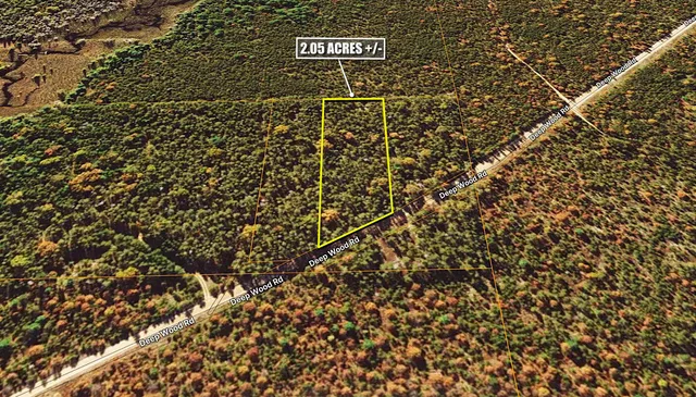 $19,900 | V/l(2.05-a) Deep Wood Road, Roscommon, MI 48653