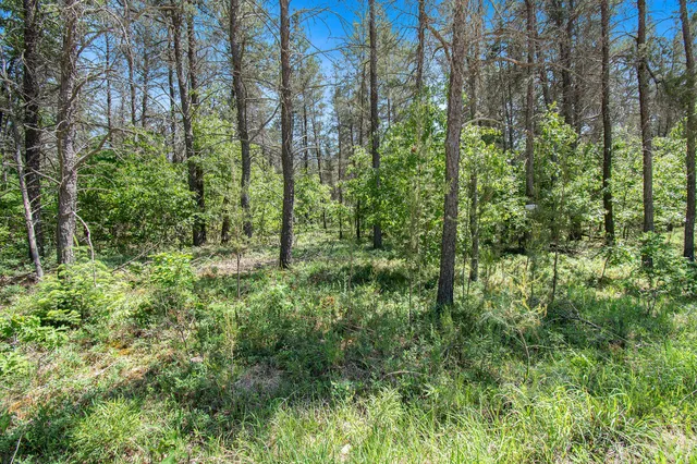 $19,900 | V/l(2.05-a) Deep Wood Road, Roscommon, MI 48653