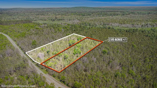 $19,900 | V/l(2.05-a) Deep Wood Road, Roscommon, MI 48653