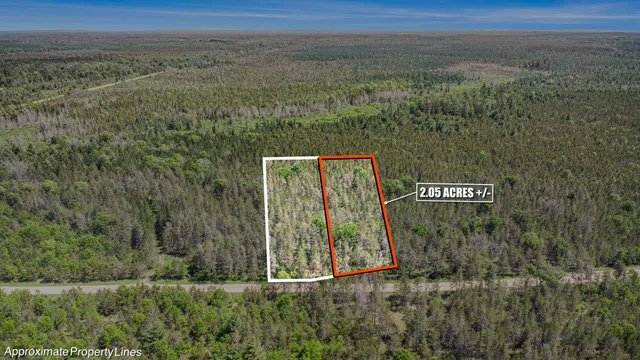 $19,900 | V/l(2.05-a) Deep Wood Road, Roscommon, MI 48653