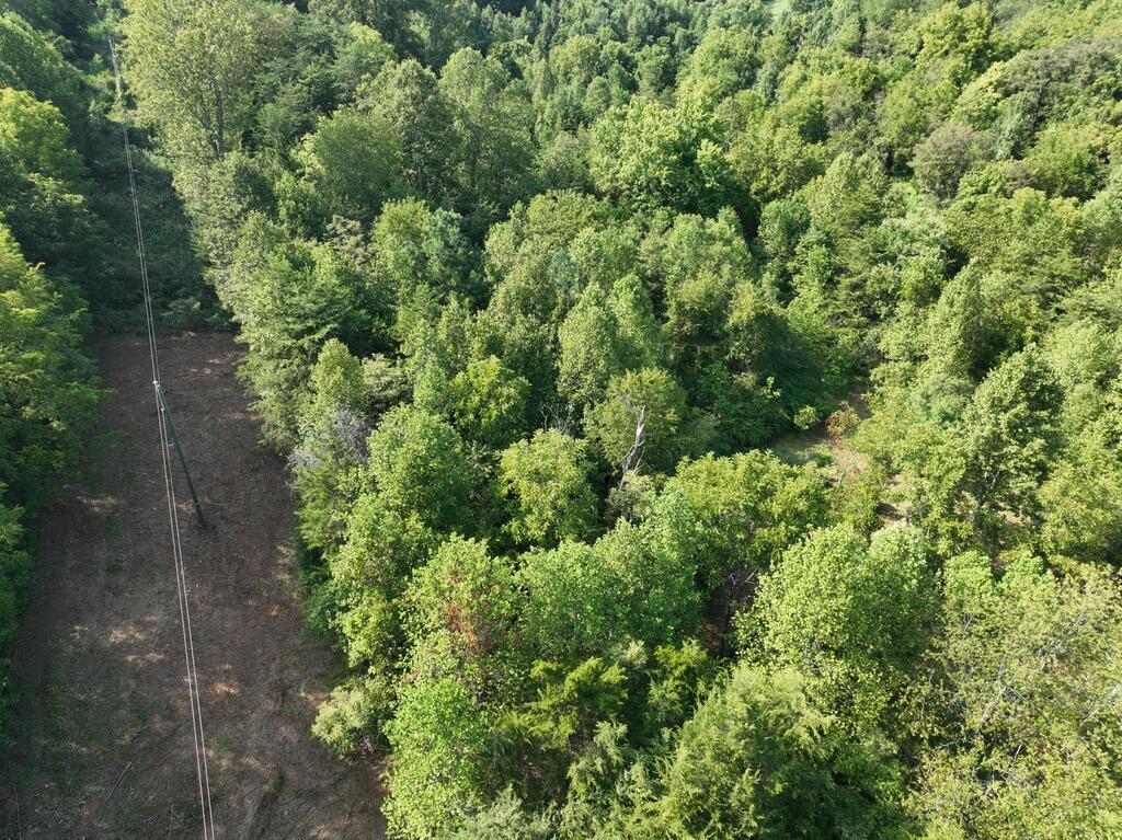 14349 Moneta Road Moneta, VA 24121 - Photo 11 of 23 7