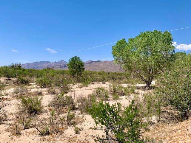 Tbd North Soldier Trail Tucson, AZ 85749 - Photo 9 of 13