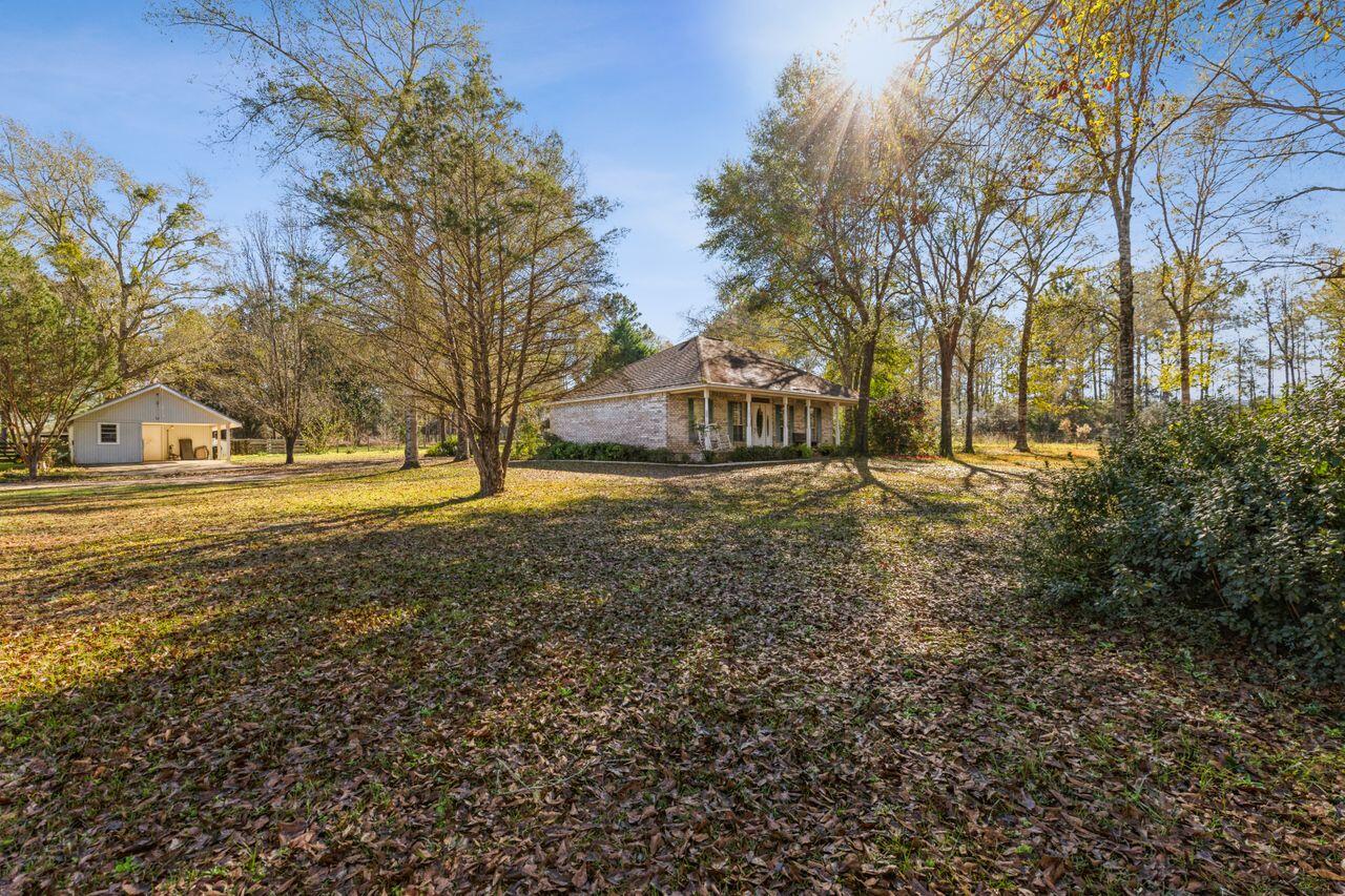 6391 Lumber Ridge Road Crestview, FL 32539 - Photo 1 of 48 a view of yard with trees in the background