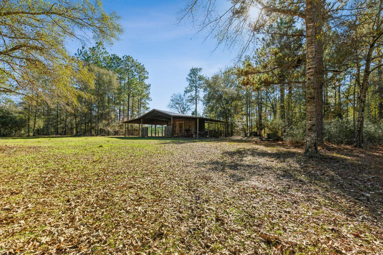 6391 Lumber Ridge Road Crestview, FL 32539 - Photo 29 of 48 a view of outdoor space with deck and trees