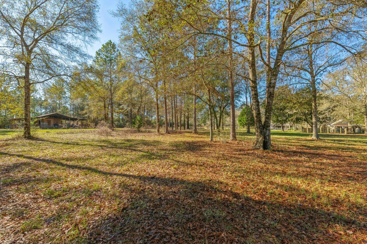 6391 Lumber Ridge Road Crestview, FL 32539 - Photo 33 of 48 a view of dirt field with trees