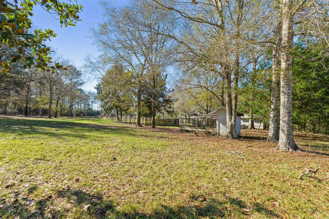 6391 Lumber Ridge Road Crestview, FL 32539 - Photo 34 of 48 a backyard of a house with lots of green space