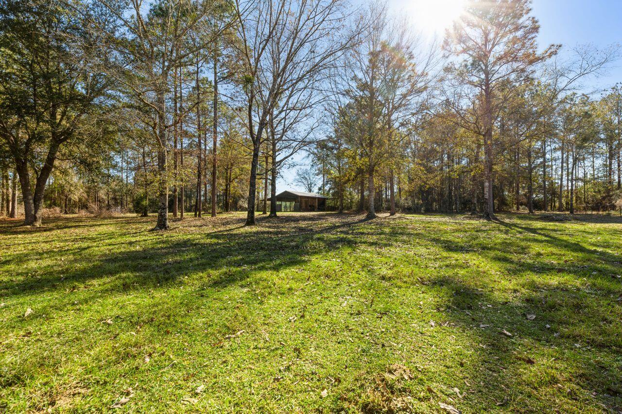 6391 Lumber Ridge Road Crestview, FL 32539 - Photo 35 of 48 a big yard with road and trees