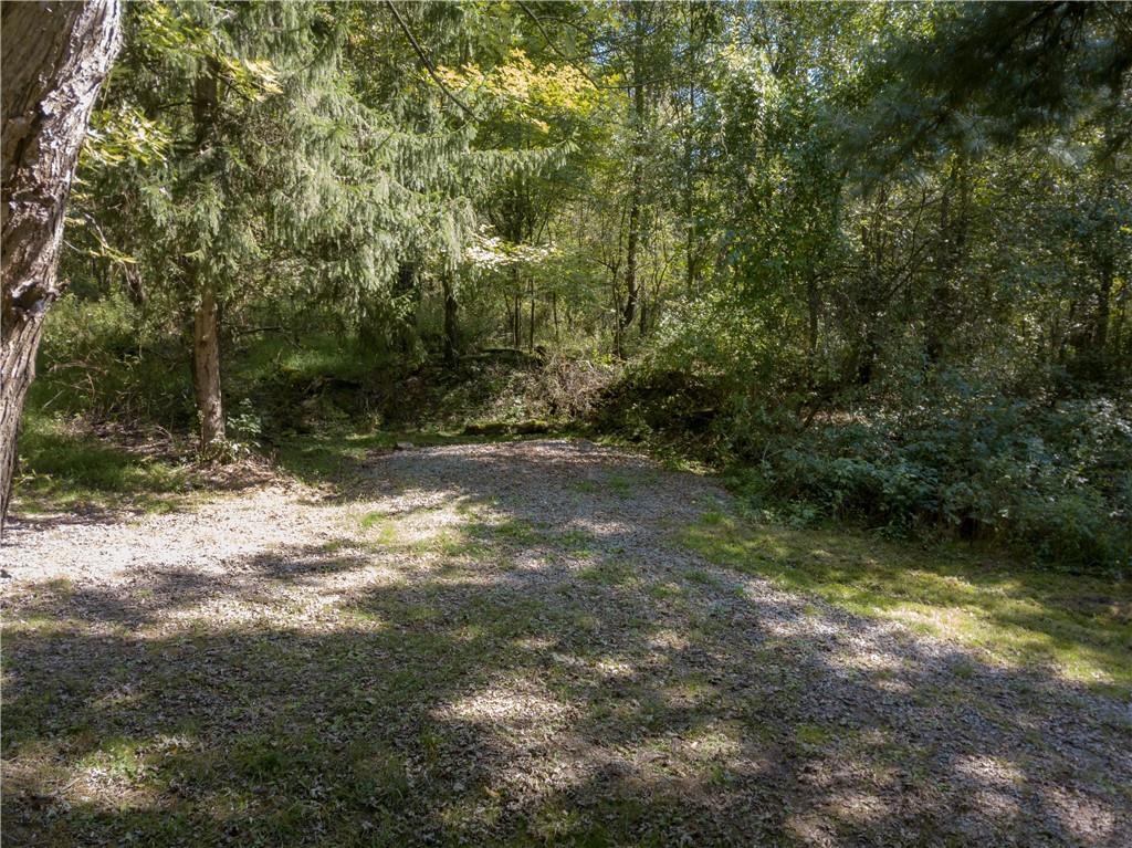 200 Toy Road Kittanning, PA 16201 - Photo 7 of 11 a view of a yard with plants and large trees