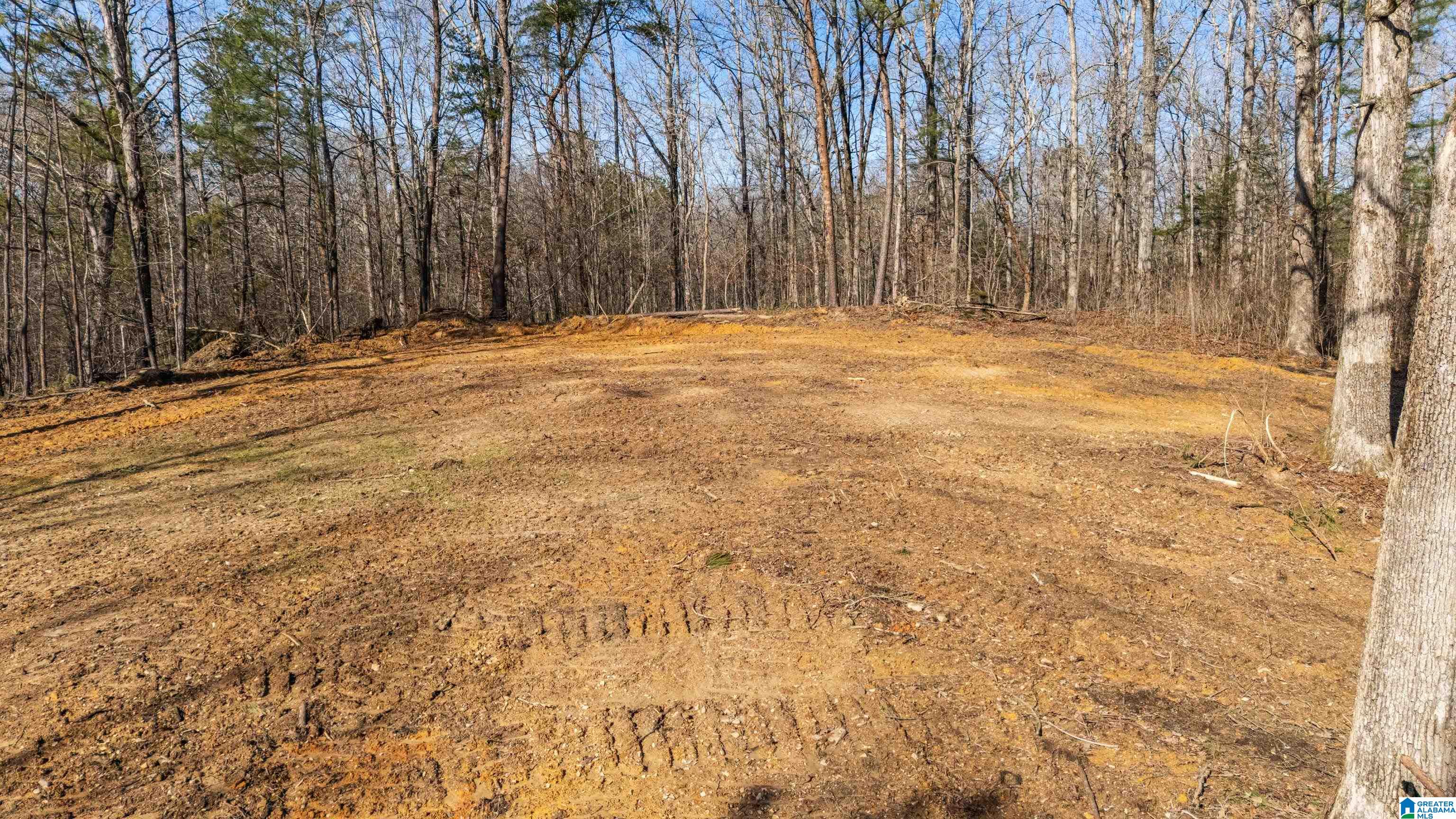 7019 Groundhog Road, Unit 1 Morris, AL 35116 - Photo 14 of 22