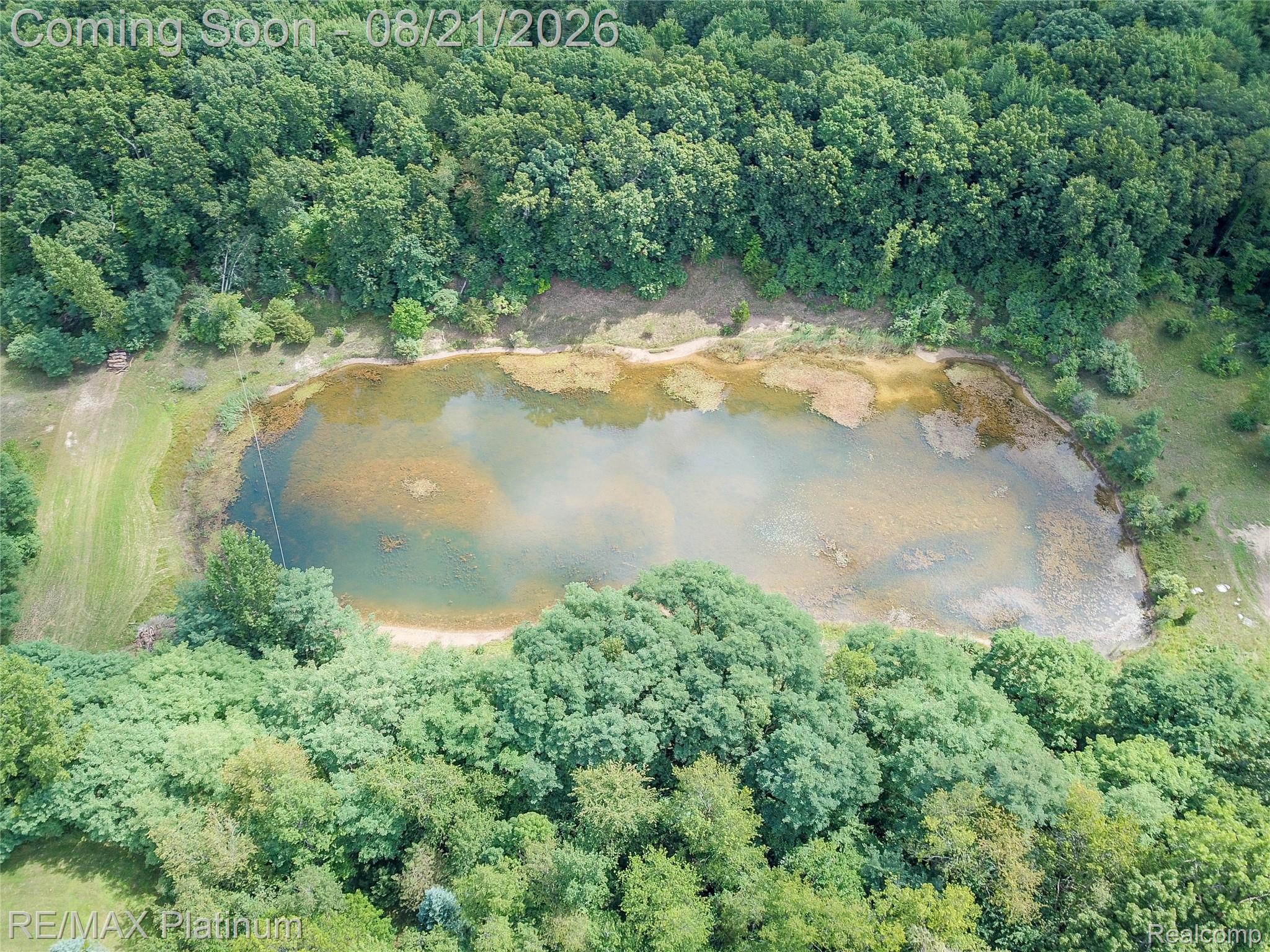 7650 North Owosso Road Fowlerville, MI 48836 - Photo 65 of 98 DJI_0792.jpg
