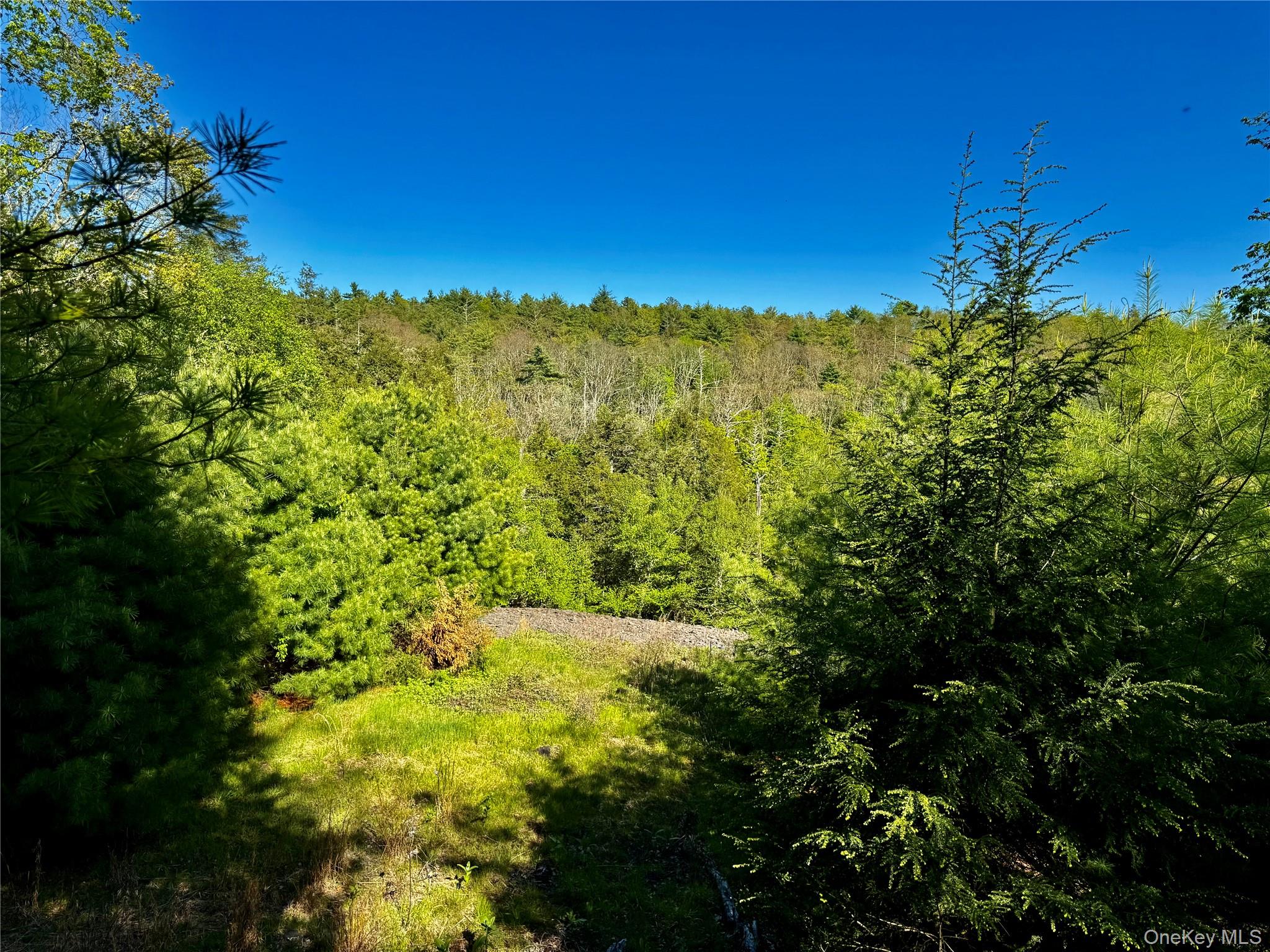 101 Stone Road Hurley, NY 12491 - Photo 1 of 24 a view of a yard