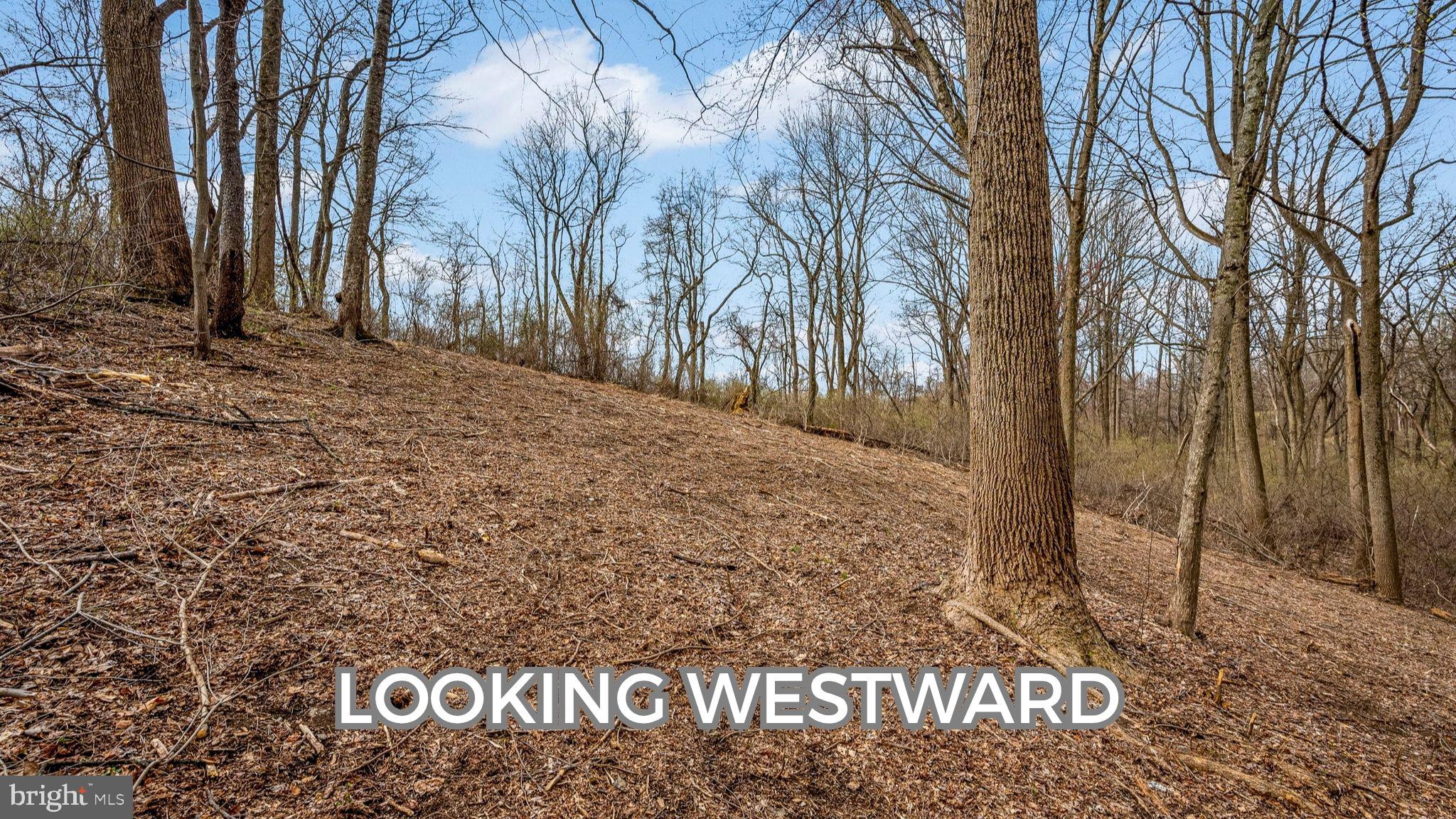 1418 Gallagherville Road Downingtown, PA 19335 - Photo 6 of 21 Looking westward across homesite