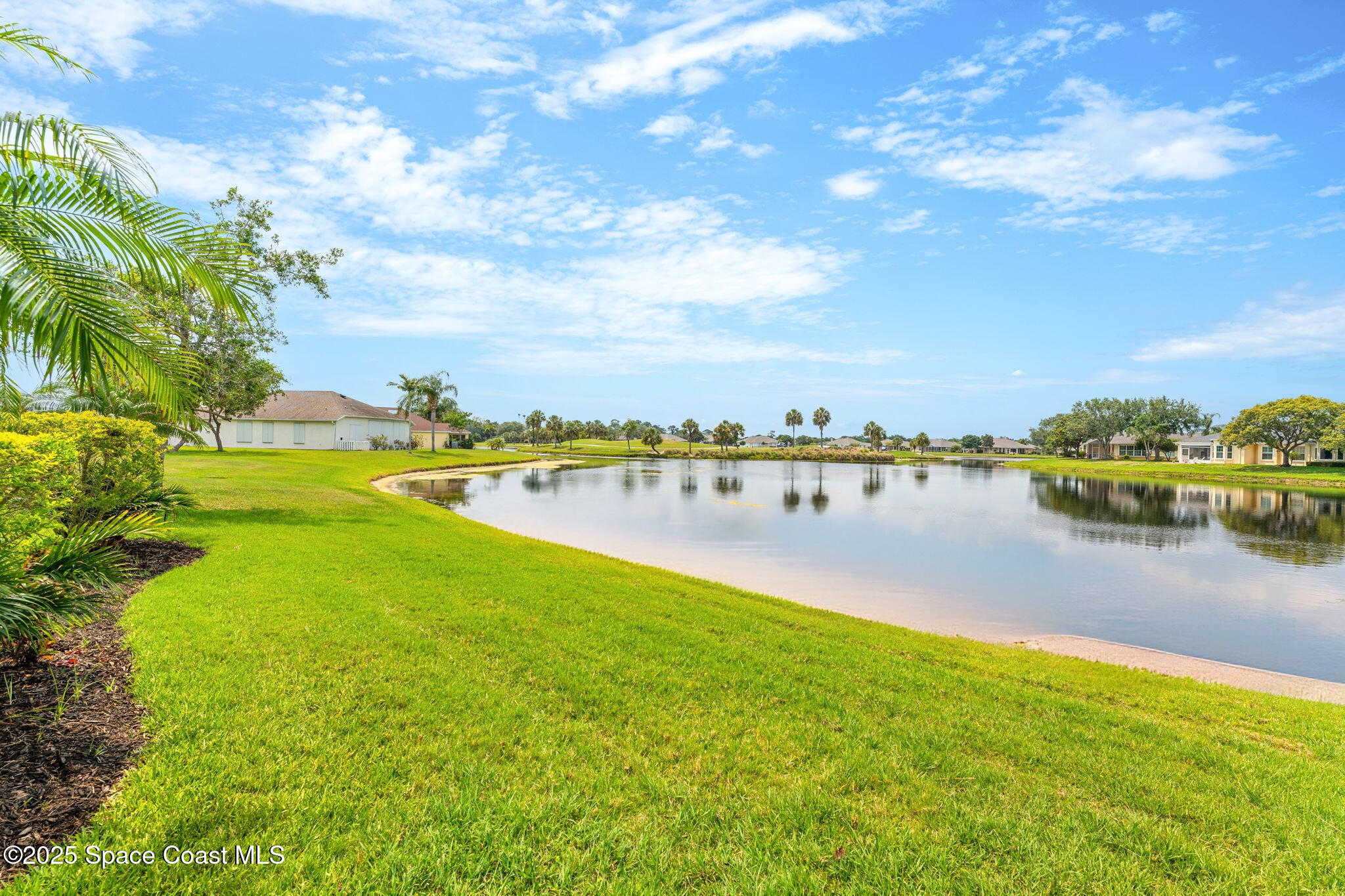 4882 Worthington Circle Rockledge, FL 32955 - Photo 24 of 41 The view from the back yard