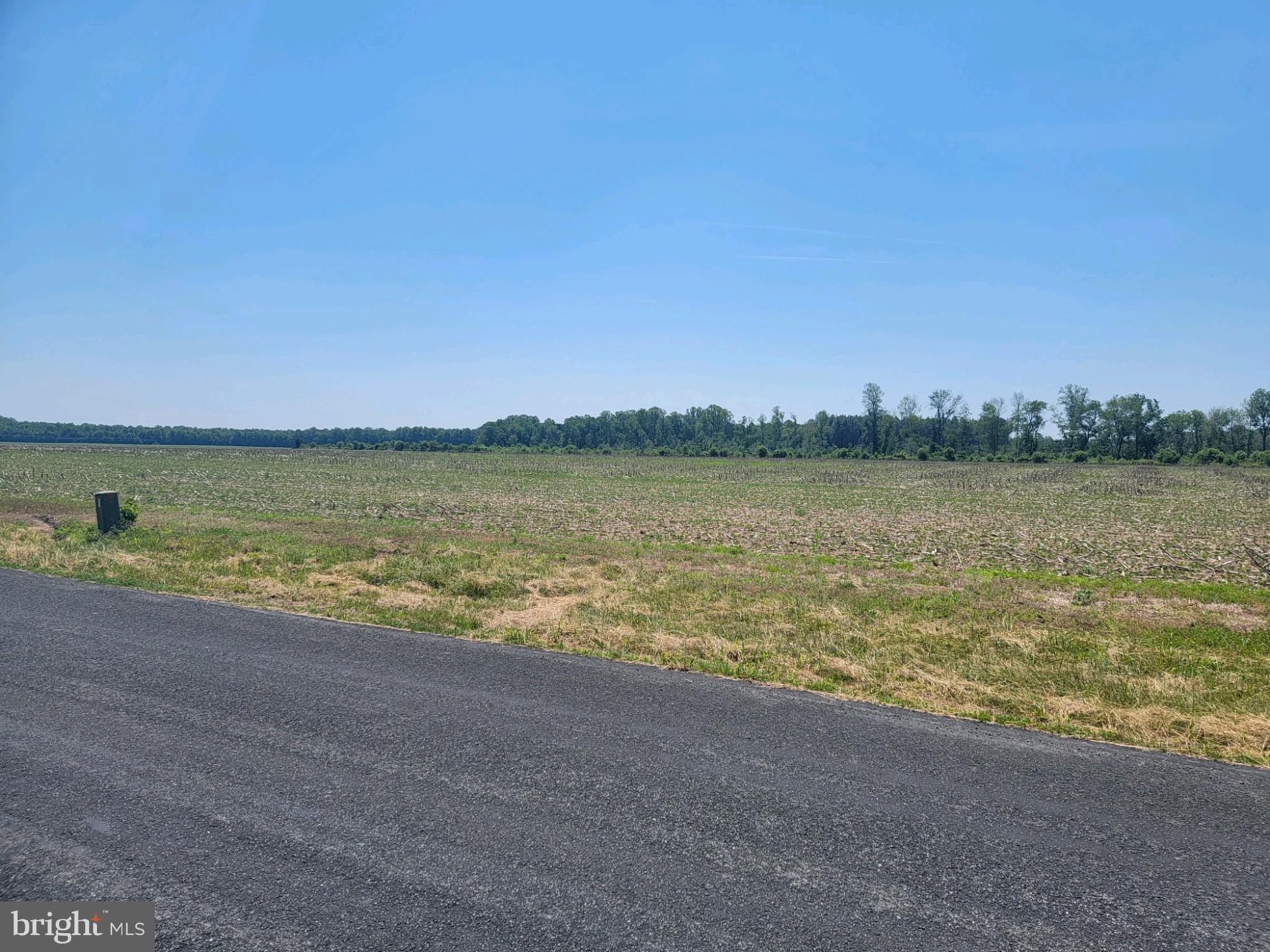 Lot Hummingbird Hummingbird Road Ellendale, DE 19941 - Photo 7 of 8 Gallery Image 7