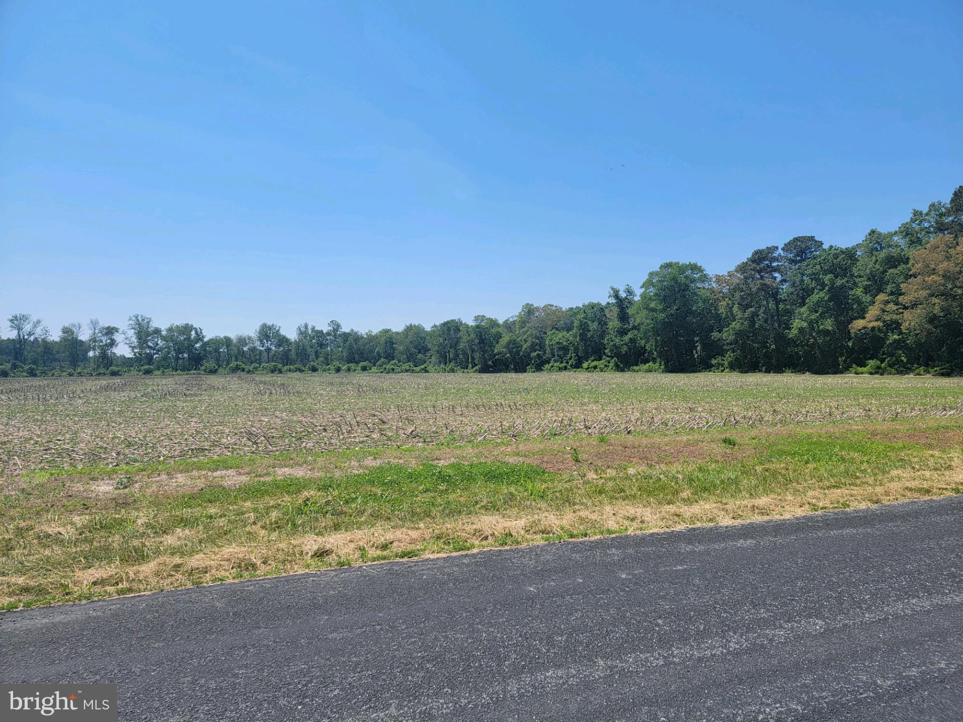 Lot Hummingbird Hummingbird Road Ellendale, DE 19941 - Photo 8 of 8 Gallery Image 8